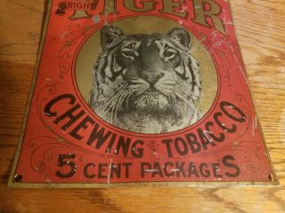 Rare Vintage Tiger Chewing Tobacco Metal Tin Sign 5 Cents Old General Store 3