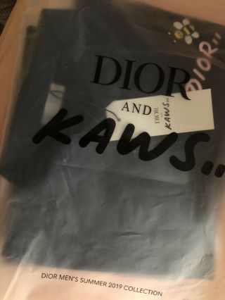 Authentic DIOR HOMME X KAWS Pink BEE POLO Rare (Medium) Men’s Crystal Jacket 10