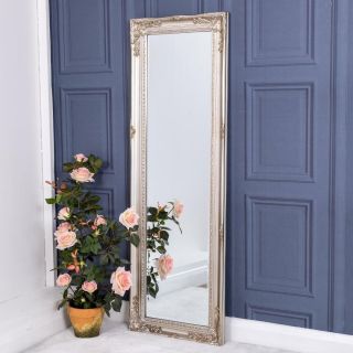 Champagne Tall Wall Mirror Shabby Vintage Chic French Large Ornate 150cm X 50cm