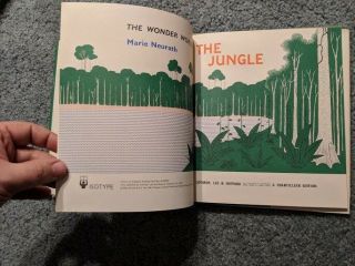 The Wonder World of the Jungle Marie Neurath Childens Book 1963 Vtg Dust Jacket 3