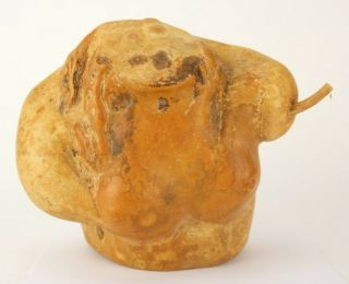 Vtg Signed Dan Ladd Molded Natural Gourd Isis Torso Female Nude Sculpture Nr Wsc