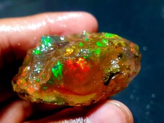 Huge Ethiopian Welo Rough Opal Aa,  Specimen Bright Fire Rare Find 266 Crt A5