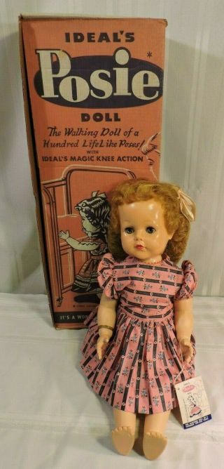 Vintage 1950s Ideal Posie Walker 23” Doll,  Box Tag Pristine Wow