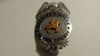 Vintage SHERIFF ' S POSSE BADGE GRANT COUNTY,  N.  M.  - L.  A.  Stamp & Staty - OBSOLETE 2