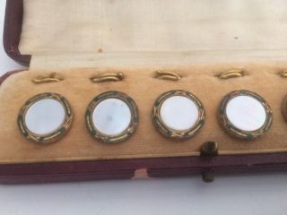 Antique Cased Set of 6 Mother of Pearl Enamel & Gilt Metal Buttons 2