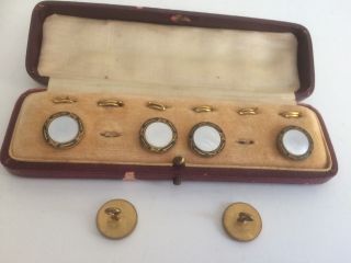 Antique Cased Set of 6 Mother of Pearl Enamel & Gilt Metal Buttons 5