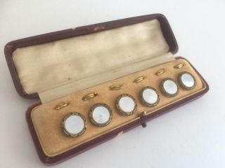 Antique Cased Set of 6 Mother of Pearl Enamel & Gilt Metal Buttons 6