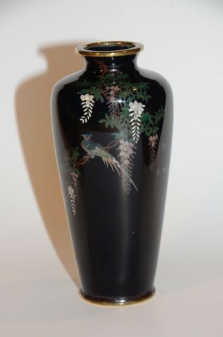 Vintage Japanese Cloisonne Meiji Vase Silver Wire.  No Damage.  Dark Blue Wisteria