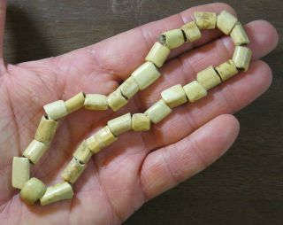 Very Rare,  Highly Polished Bird Bone Beads,  13 In.  Strand,  Eastern Tn X Beutell