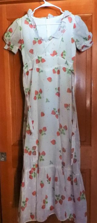 Vintage Flocked Fabric,  Vintage Flock Strawberry Semi Sheer Ruffled Long Dress