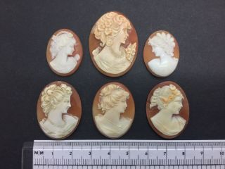 6 Antique Victorian Hand Carved Italian Shell Cameo Bracelet Brooch Ring Repair