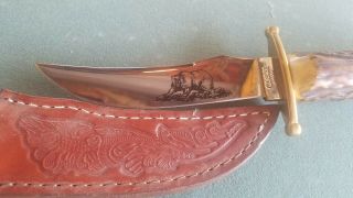 Vintage 1980’s Case Xx Usa Kodiak Stag Handle Hunters Knife W/ Sheath