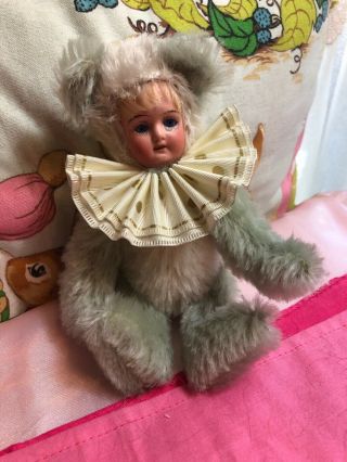 Antique 6 " German Gebruder Knoch Circa 1900 Doll Head Teddy Mohair Doll