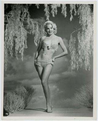 Bathing Beauty Bombshell Carroll Baker 1960s Vintage Bikini Pin - Up Photograph