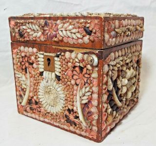 Rare EARLY Antique SHELL ART Seashell Encrusted Wooden TEA BOX CADDY Folk Art 10