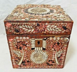 Rare EARLY Antique SHELL ART Seashell Encrusted Wooden TEA BOX CADDY Folk Art 11