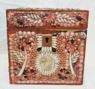 Rare Early Antique Shell Art Seashell Encrusted Wooden Tea Box Caddy Folk Art