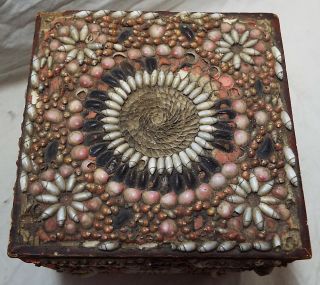 Rare EARLY Antique SHELL ART Seashell Encrusted Wooden TEA BOX CADDY Folk Art 2