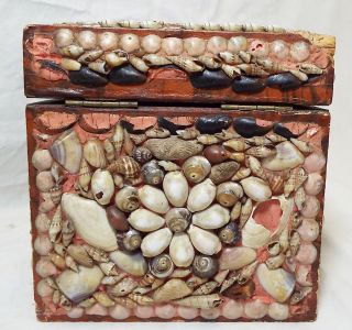Rare EARLY Antique SHELL ART Seashell Encrusted Wooden TEA BOX CADDY Folk Art 4