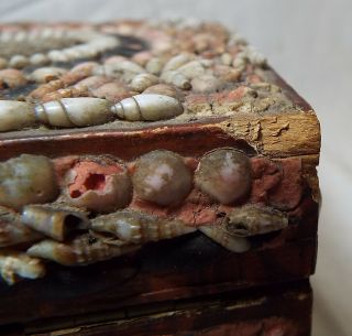 Rare EARLY Antique SHELL ART Seashell Encrusted Wooden TEA BOX CADDY Folk Art 5