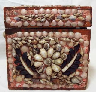 Rare EARLY Antique SHELL ART Seashell Encrusted Wooden TEA BOX CADDY Folk Art 6
