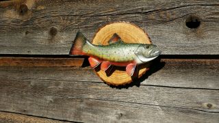 Trout Wood Carving Brook Trout Fish Decoy Casey Edwards 7