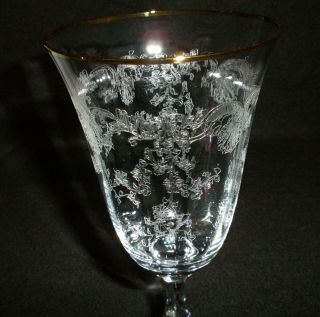 Rare 19th C BACCARAT Louis XV Etched Crystal 6 x Large Wine Goblet w/ Gold Rim 11