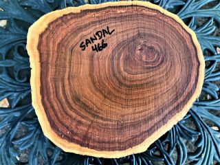 Joel Hawaiian Rare Sandalwood Log Real Heirloom Almost Never 0466