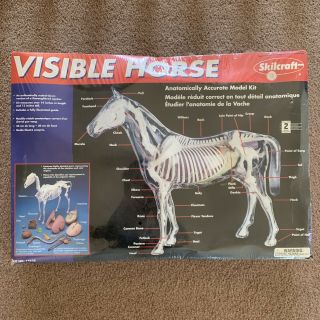 Vintage Skilcraft Visible Horse Anatomically Accurate Equine Model Kit 74628