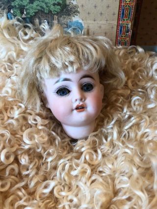 Cute Antique German Child Doll Head W/original Mohair Wig