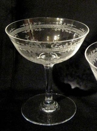 Rare Vintage Baccarat Lafayette Tall Sherbet / Champagne Glass