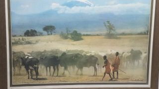 Rare Mirella Ricciardi Signed & Numbered Print - Vanishing Africa Cattle Drive? 10