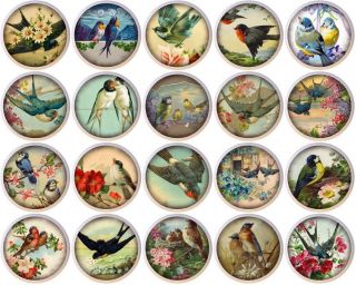 Set Of 20 Vintage Birds By Ets Ceramic Drawer Pulls Dresser Drawer Cabinet Knobs