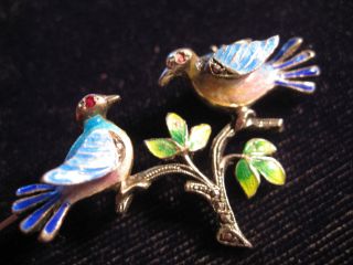 Antique German Sterling Silver Marcasite Enamel Bird Brooch / Pin