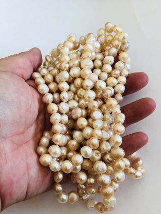 Pearl Flapper Necklace,  Cultured,  Very Long 2