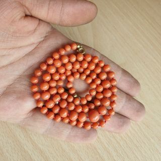 6 Old Vintage Natural Undyed Chinese Coral Necklace Beads 19 Grams 3