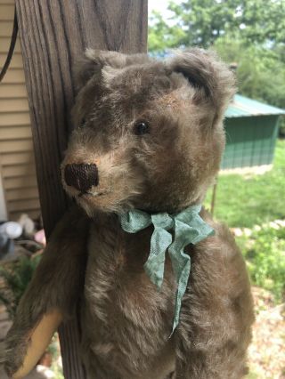 Charming Antique Vintage 13” Steiff Teddy Bear