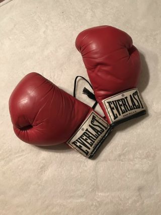 Vintage Everlast 2108 Youth Or Small Adult Boxing Gloves Red Made In Usa