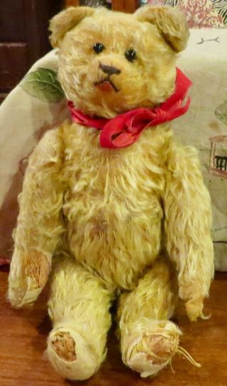 Vintage C1940 15 " Schuco Mohair Fully Jointed Yes No Teddy Bear