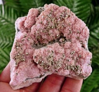 And Rare Rhodochrosite With Pyrite From Starnica Mine,  Bulgaria