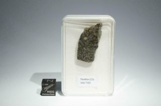 Parnallee Meteorite Part Slice Weighing 4.  05g Rare Historic Fall From India