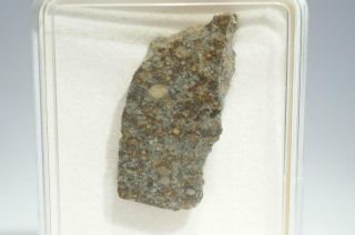 Parnallee Meteorite part slice weighing 4.  05g RARE HISTORIC FALL from India 2