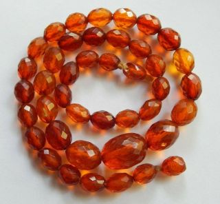 Vintage Natural Cherry Honey Cognac Baltic Amber Graduated Olive Bead Necklace 2