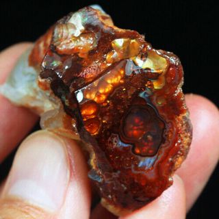 224.  2ct 100 Natural Mexican Multi - Colored Fire Agate Facet Rough Yfm1632