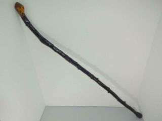 Antique Irish Root Ball Shillelagh Blackthorn Cane Walking Stick Rubber Tip 35 "