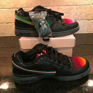 Nike SB P - Rod Zoom Air Elite Mexican Blanket DS RARE Size 12 Paul Rodriguez 4