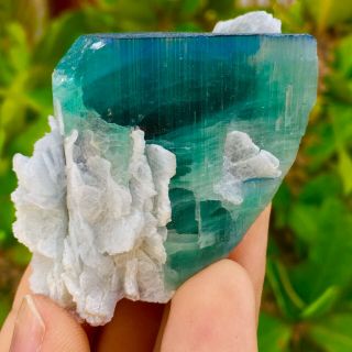 451 CT Very Rare Top Quality Natural Blue Cap Tourmaline Crystal 2