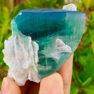 451 CT Very Rare Top Quality Natural Blue Cap Tourmaline Crystal 3