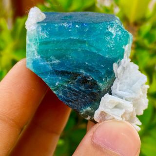 451 CT Very Rare Top Quality Natural Blue Cap Tourmaline Crystal 4