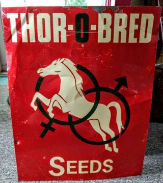 Very Rare Vintage Thor - O - Bred Seeds Dealer Metal Sign.  L@@k